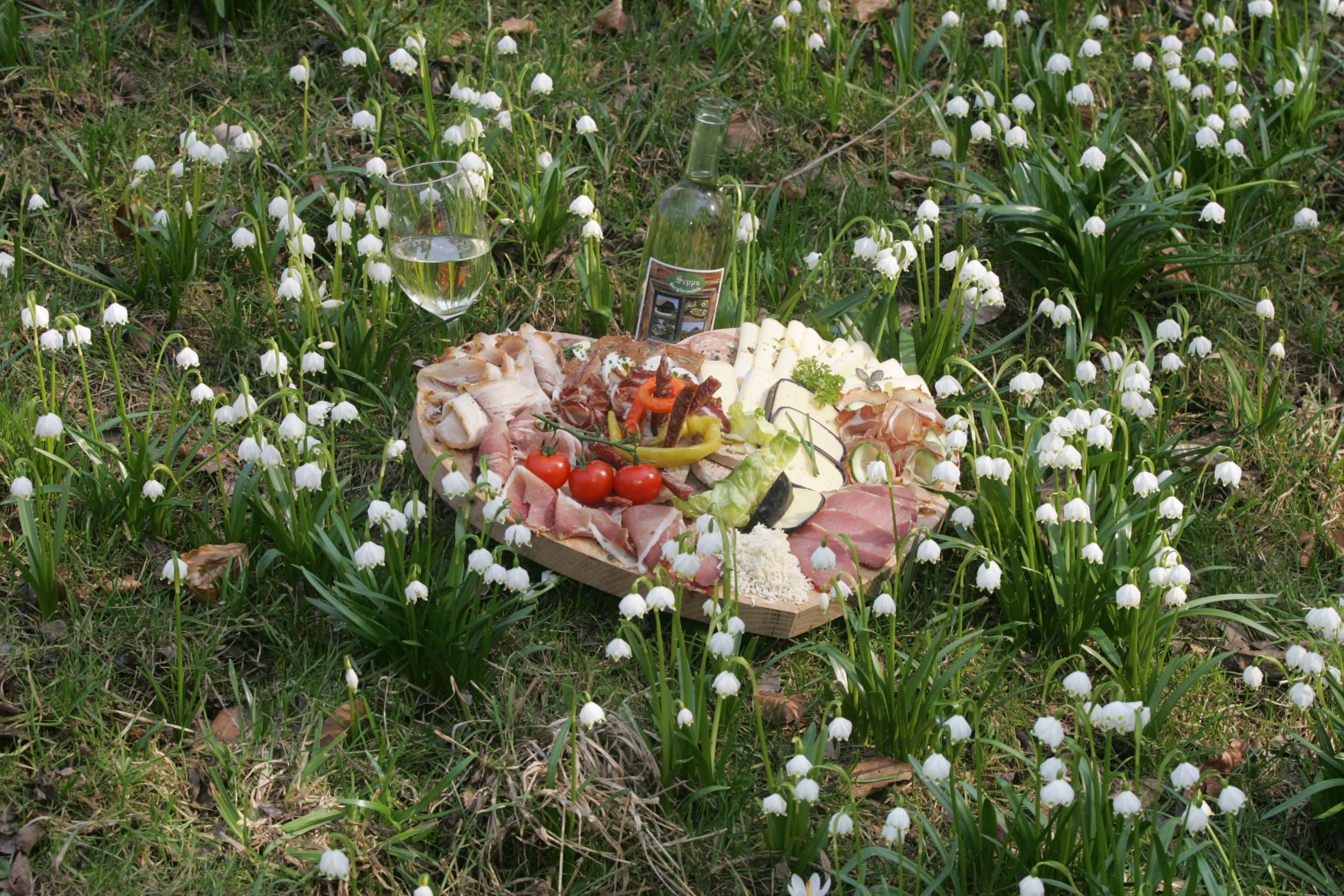 Frühling in der Steiermark
